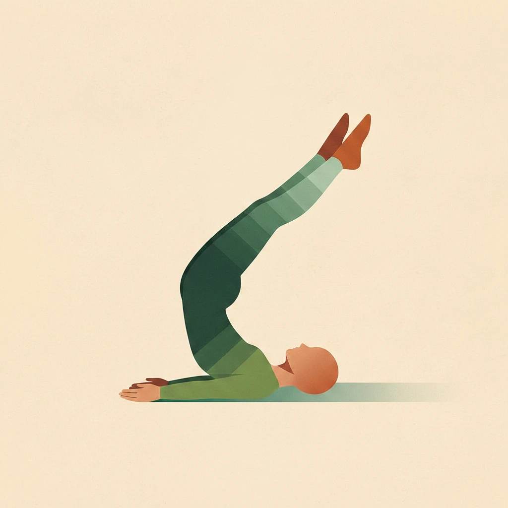 Plow Pose yoga pose illustration